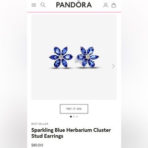 Pandora Blue Earrings